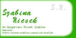 szabina micsek business card